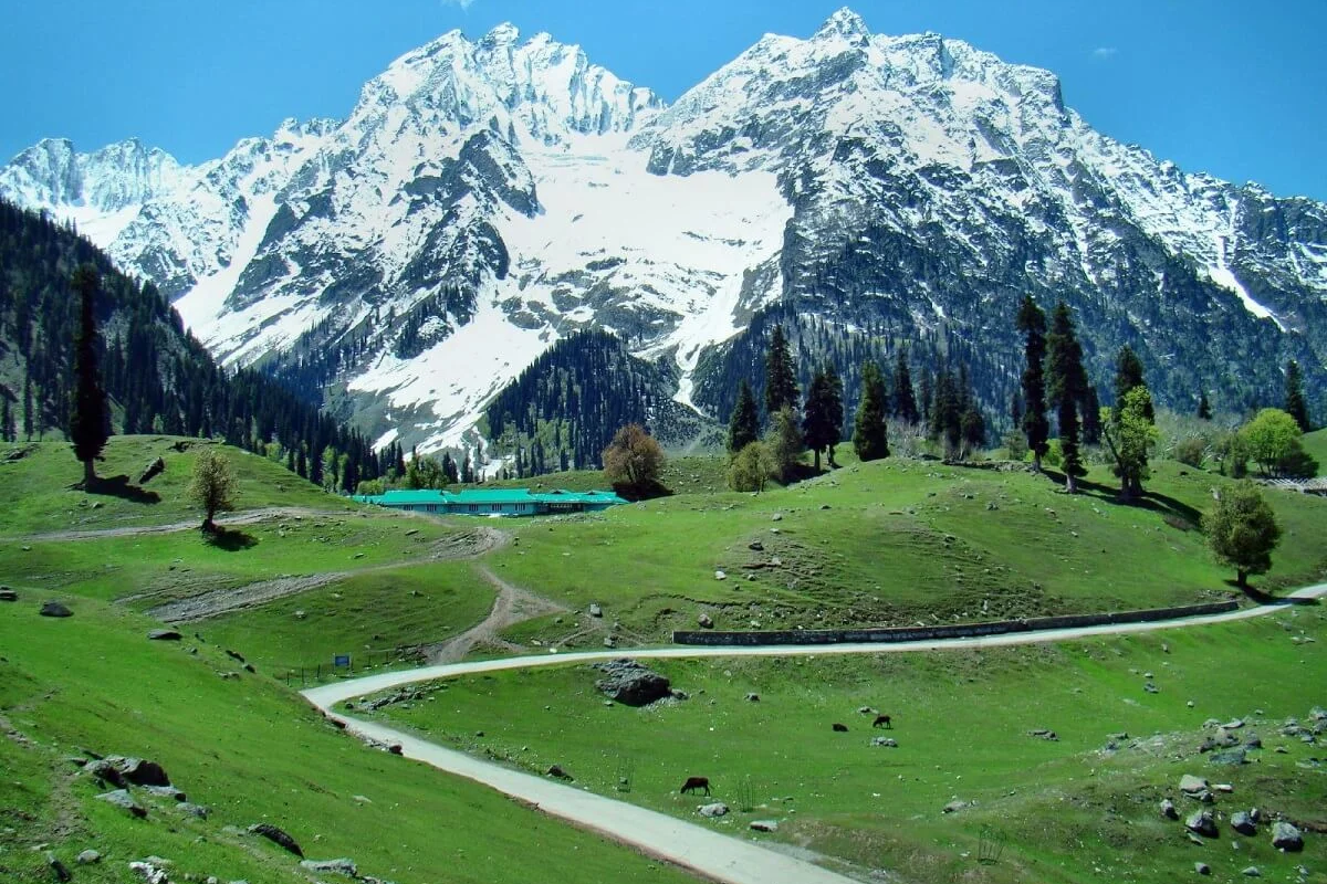 Sonmarg Meadows